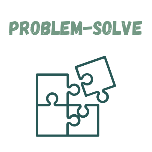Problem-solve
